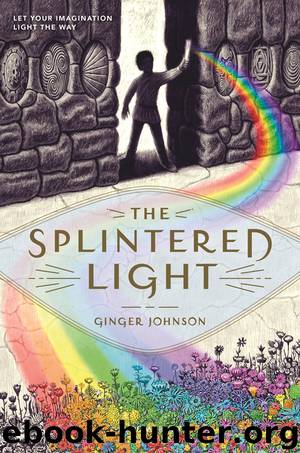 The Splintered Light by Ginger Johnson