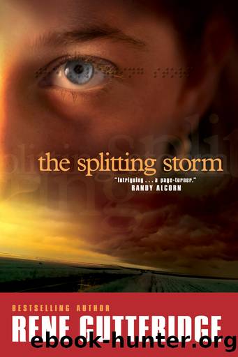 The Splitting Storm by Rene Gutteridge