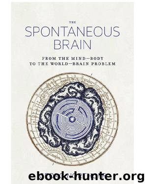 The Spontaneous Brain by Georg Northoff