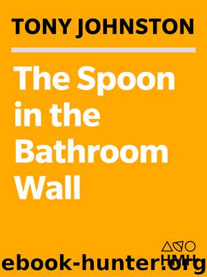The Spoon in the Bathroom Wall by Tony Johnston