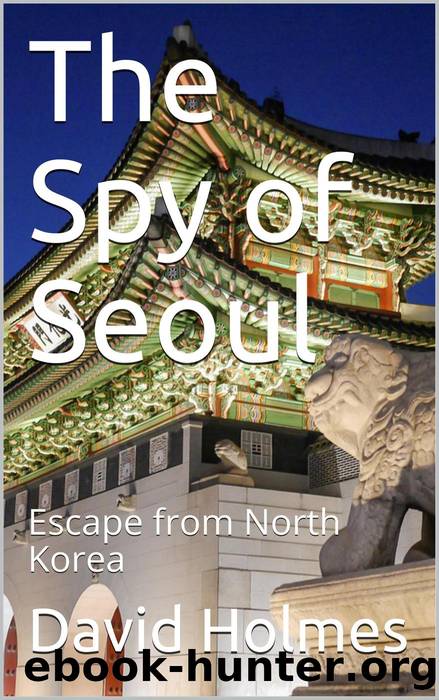 The Spy of Seoul by David Holmes