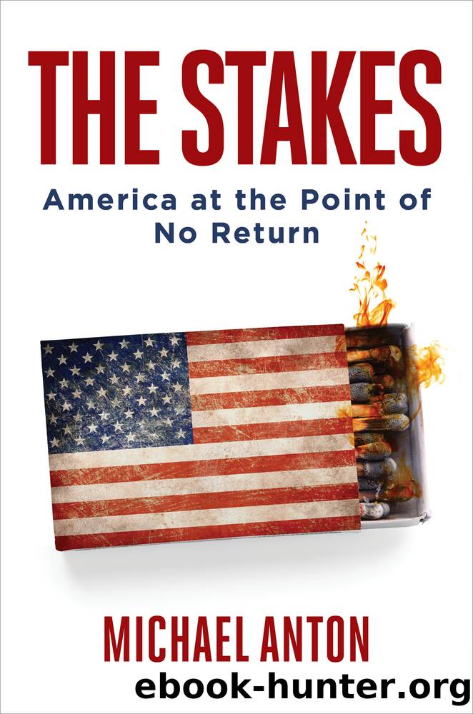 The Stakes by Michael Anton
