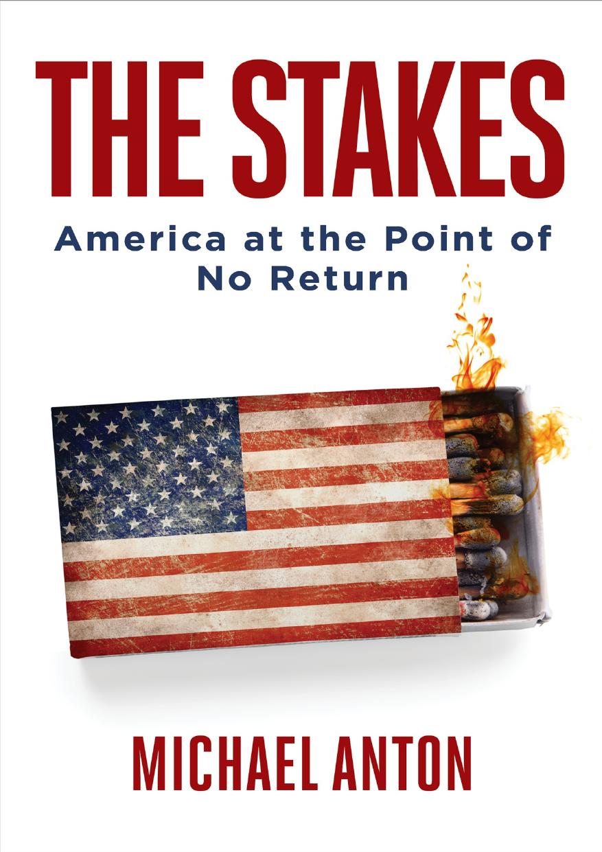 The Stakes; America at the Point of No Return (2020)- by Michael Anton