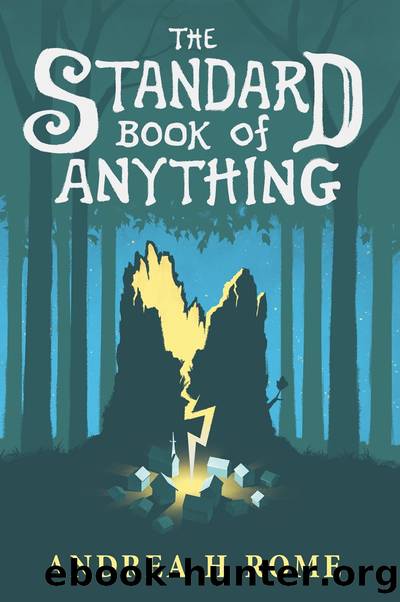 The Standard Book of Anything by Andrea H Rome