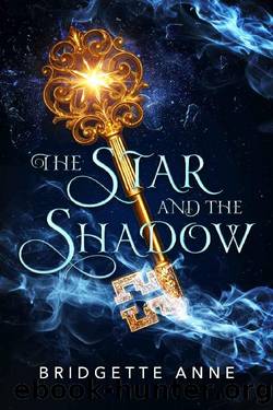The Star and The Shadow: The Stelliferous Series-Book One by Bridgette Anne