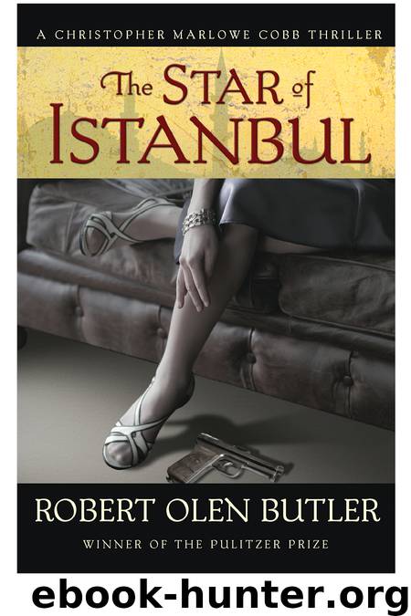 The Star of Istanbul by Robert Olen Butler