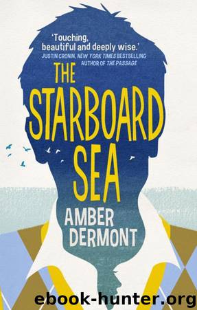 The Starboard Sea by Amber Dermont