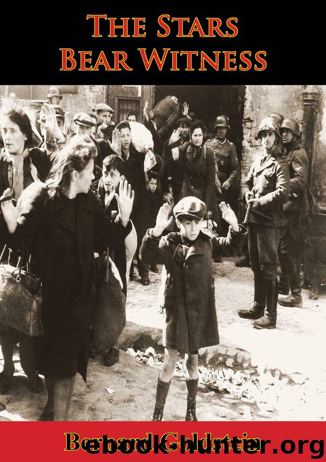 The Stars Bear Witness [Illustrated Edition] by Bernard Goldstein Leonard Shatzkin