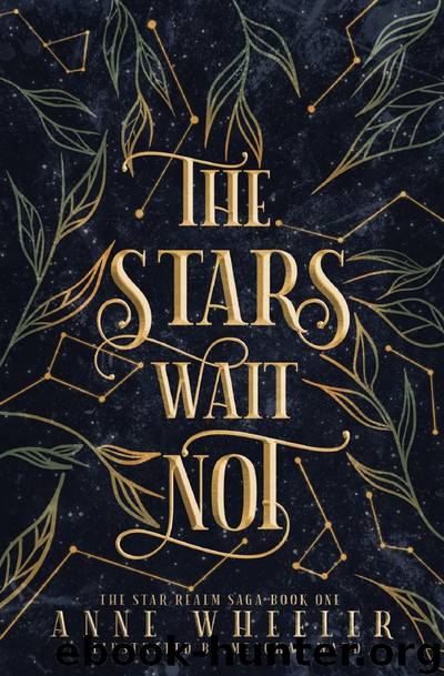 The Stars Wait Not by Anne Wheeler