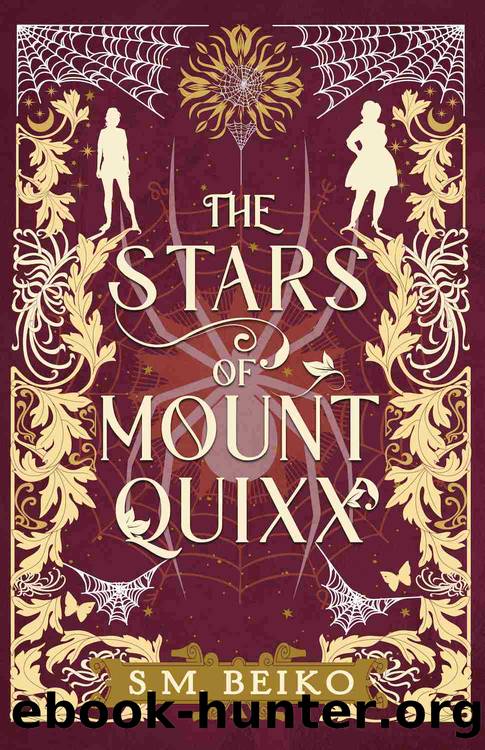 The Stars of Mount Quixx by S.M. Beiko