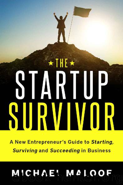 The Startup Survivor: A New Entrepreneur’s Guide to Starting, Surviving and Succeeding in Business by Michael Maloof
