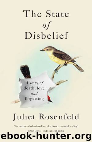 The State of Disbelief by Juliet Rosenfeld