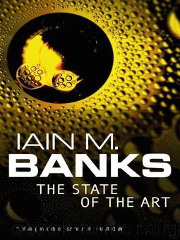 The State of the Art by Iain M. Banks