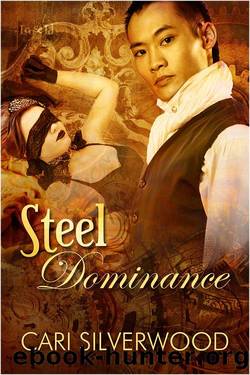 The Steamwork Chronicles 3: Steel Dominance by Cari Silverwood