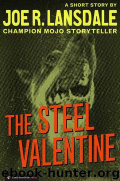 The Steel Valentine by Lansdale Joe R