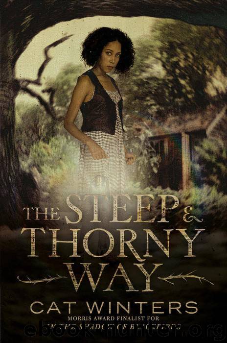 The Steep and Thorny Way by Winters Cat