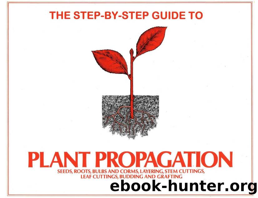 The Step by Step Guide to Plant Propagation by Unknown
