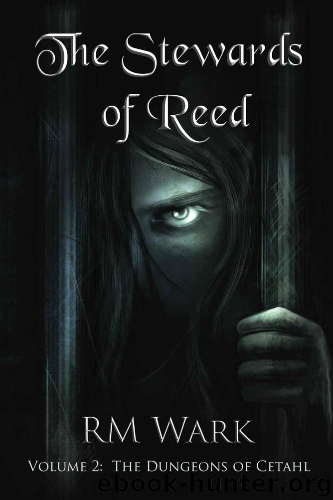 The Stewards of Reed, Volume 2: The Dungeons of Cetahl by Wark RM