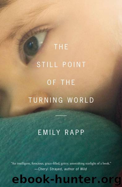 The Still Point of the Turning World by Emily Rapp