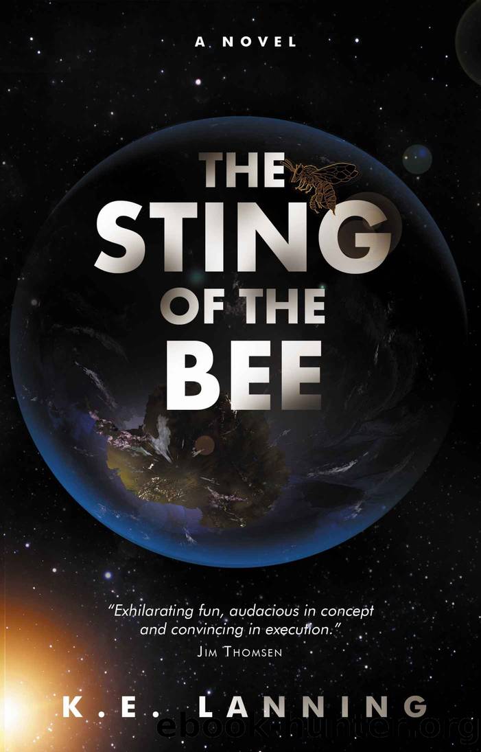 The Sting of the Bee (Sting of the Bee Trilogy Book 2) by K.E. Lanning