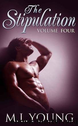 The Stipulation (Volume Four) by M.L. Young