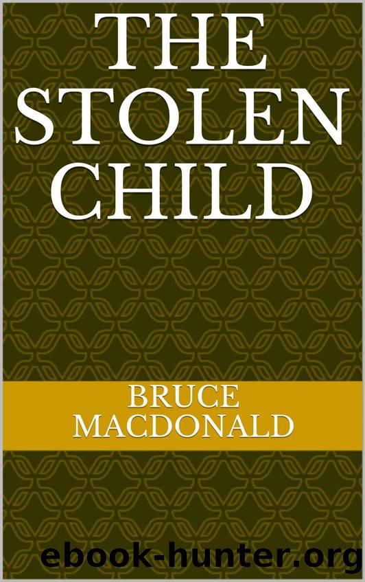 The Stolen Child (Raymond Burke Series Book 1) by Bruce MacDonald