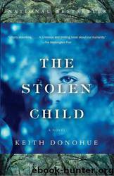 The Stolen Child by Keith Donohue