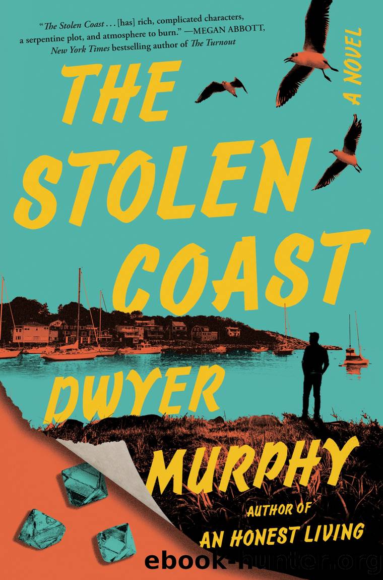 The Stolen Coast by Dwyer Murphy