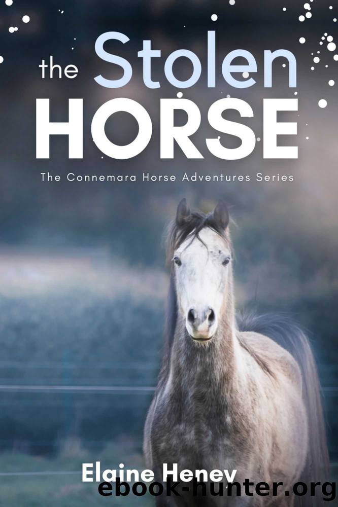The Stolen Horse - Book 4 in the Connemara Horse Adventure Series for Kids | The Perfect Gift for Children age 8-12 (Connemara Adventures) by Elaine Heney