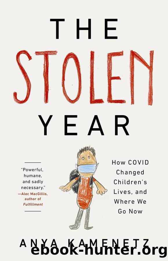 The Stolen Year by Anya Kamenetz