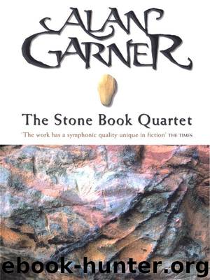 The Stone Book Quartet by Alan Garner