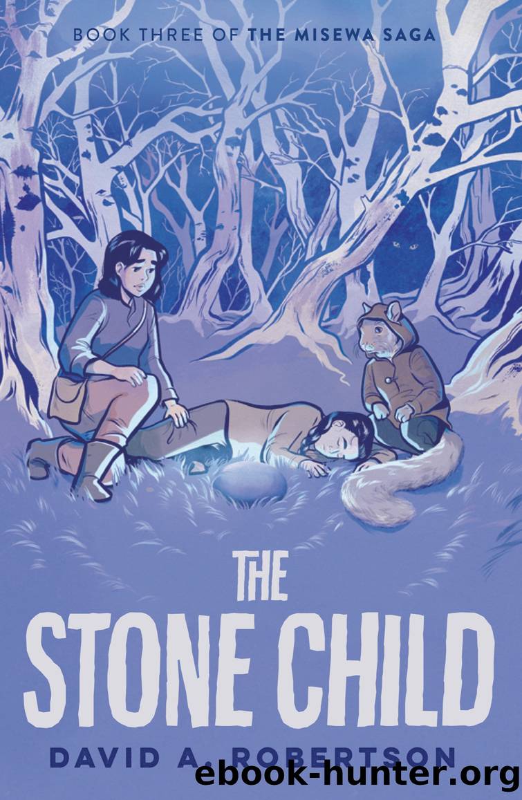 The Stone Child by David A. Robertson