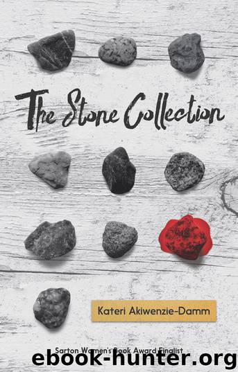 The Stone Collection by Kateri Akiwenzi-Damm