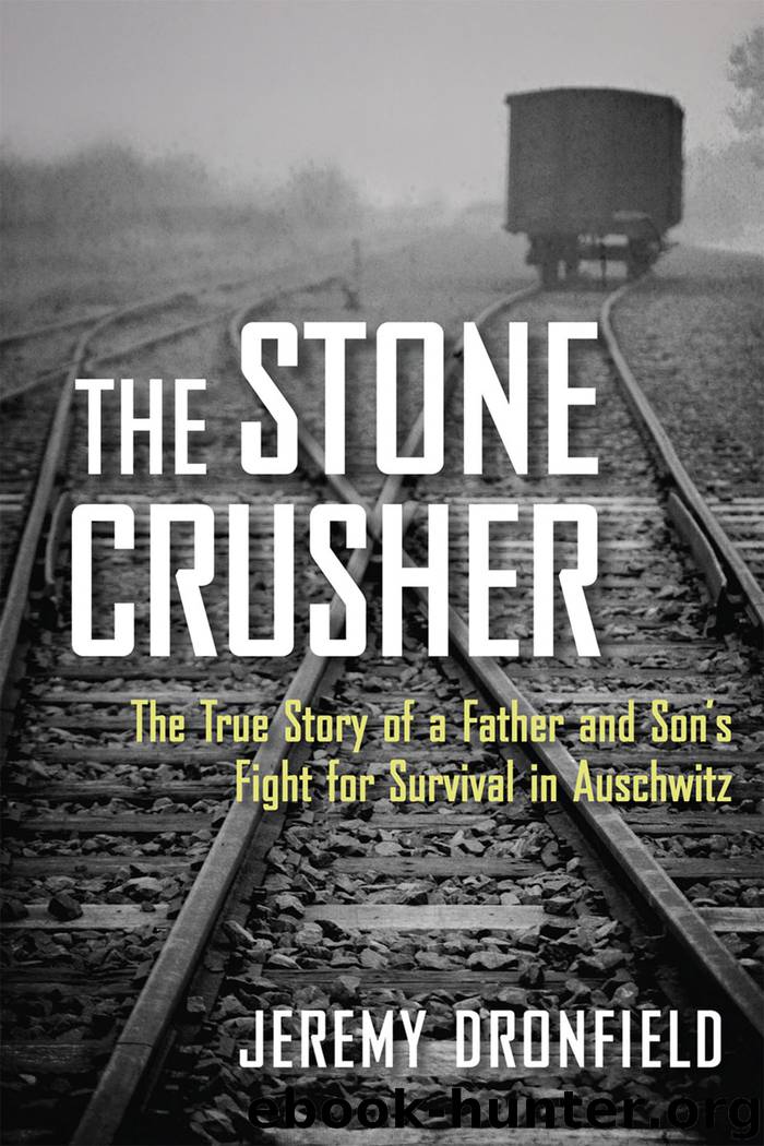 The Stone Crusher by Jeremy Dronfield