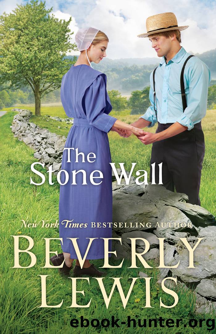 The Stone Wall by Beverly Lewis