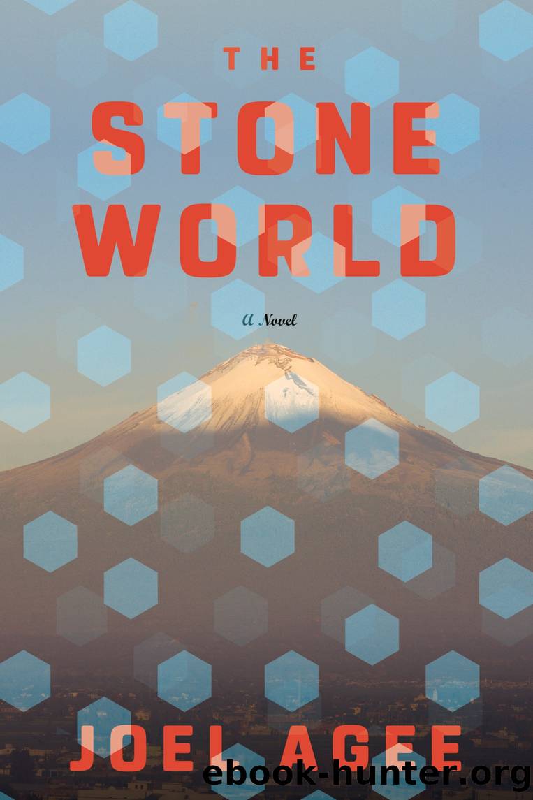 The Stone World by Joel Agee