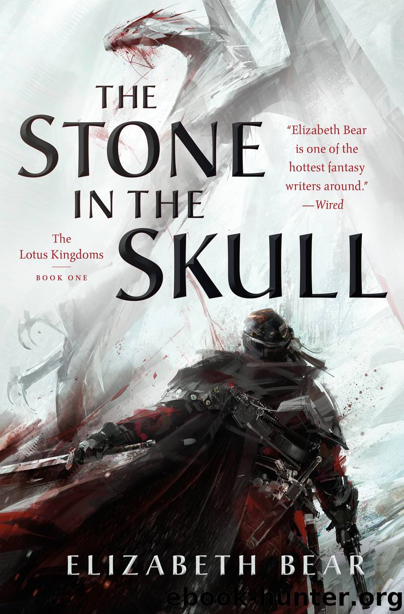 The Stone in the Skull by Elizabeth Bear