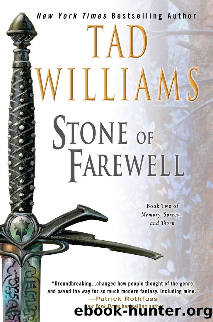 The Stone of Farewell: Book Two of Memory, Sorrow, and Thorn by Tad Williams