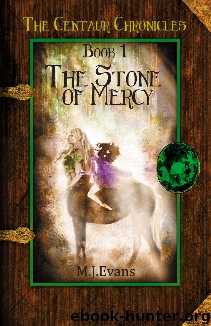 The Stone of Mercy by M.J. Evans