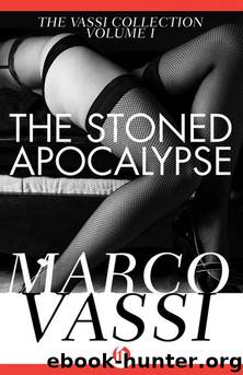 The Stoned Apocalypse by Marco Vassi