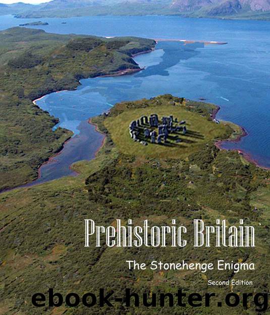 The Stonehenge Enigma (Prehistoric Britain Book 1) by Langdon Robert John