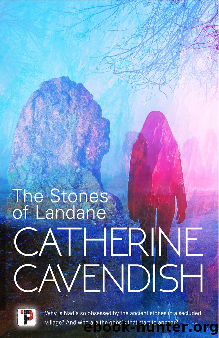 The Stones of Landane by Catherine Cavendish by Flame Tree Studio