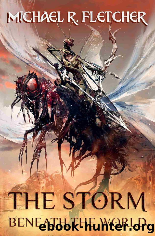The Storm Beneath the World by MIchael R. Fletcher