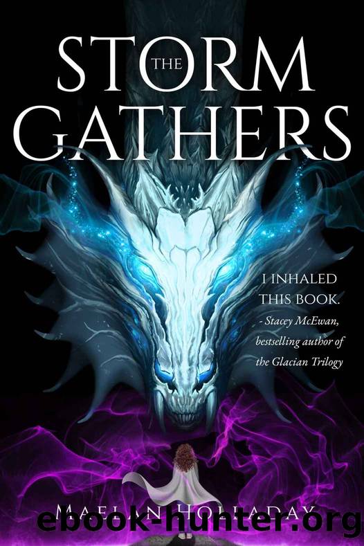 The Storm Gathers by Holladay Maelan