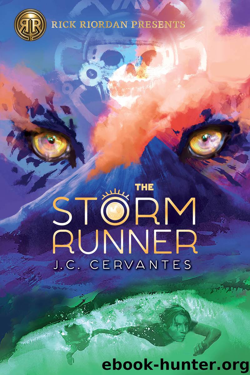 The Storm Runner by J.C. Cervantes