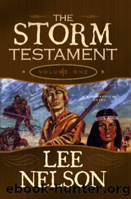 The Storm Testament I by Lee Nelson