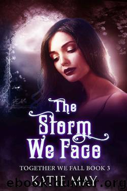 The Storm We Face (Together We Fall Book 3) by Katie May