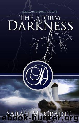 The Storm and the Darkness by Sarah M. Cradit