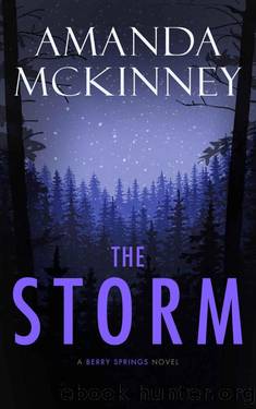 The Storm by Amanda McKinney