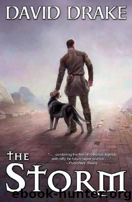 The Storm by Drake David
